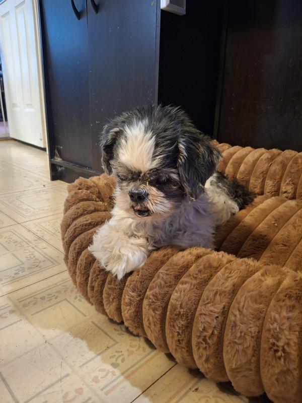 Baxter