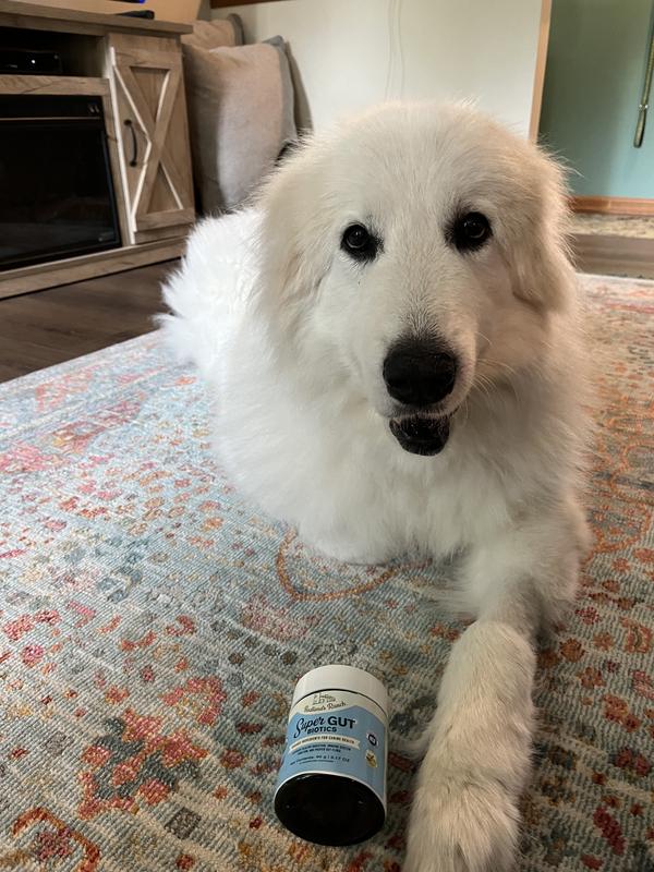 He likes it! It’s a win win!