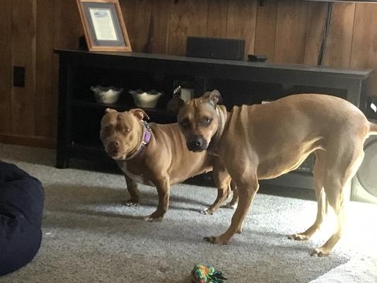 The two kids