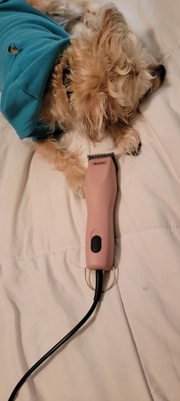 Great clippers--very quiet!