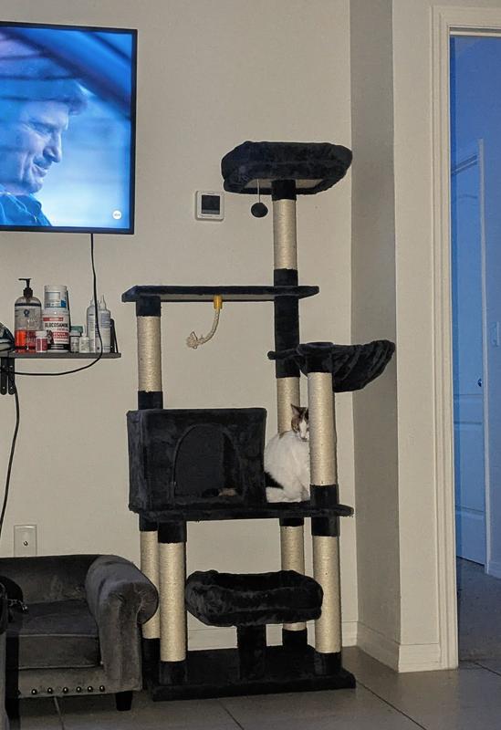 Ample space for larger cats