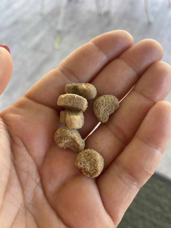 Irresistible and so soft!