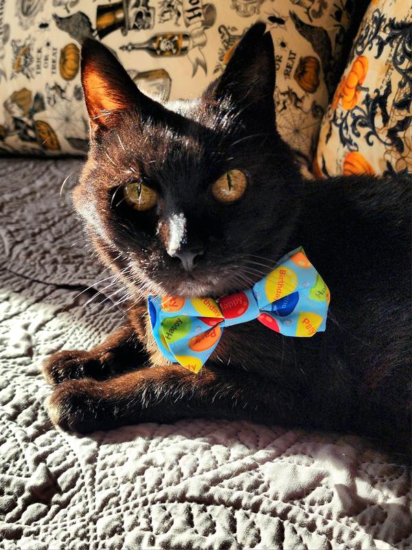 Slim rocking his 17th birthday in a cute bow tie.