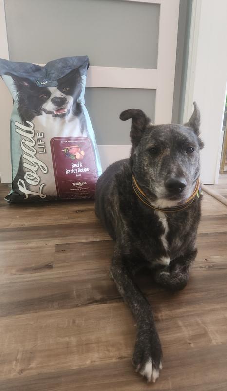 Pup-pup is a fan!