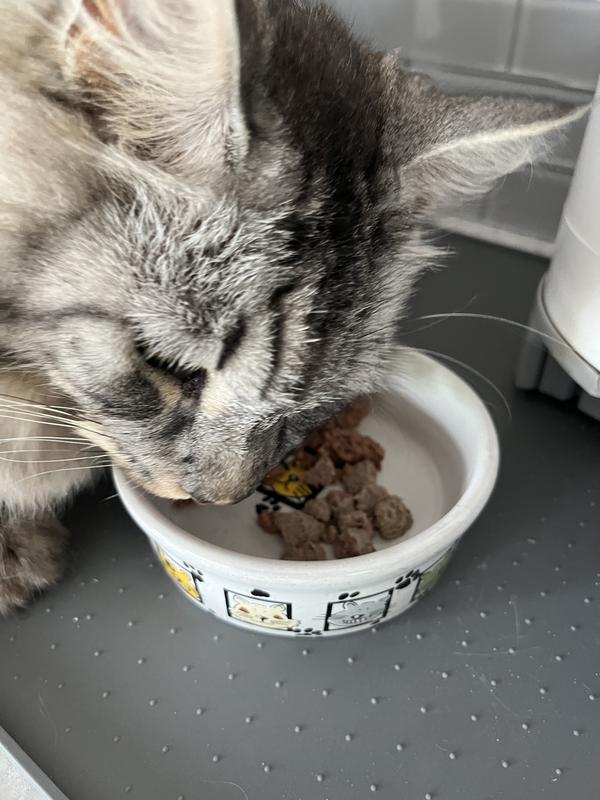 Freyja the temperamental girl