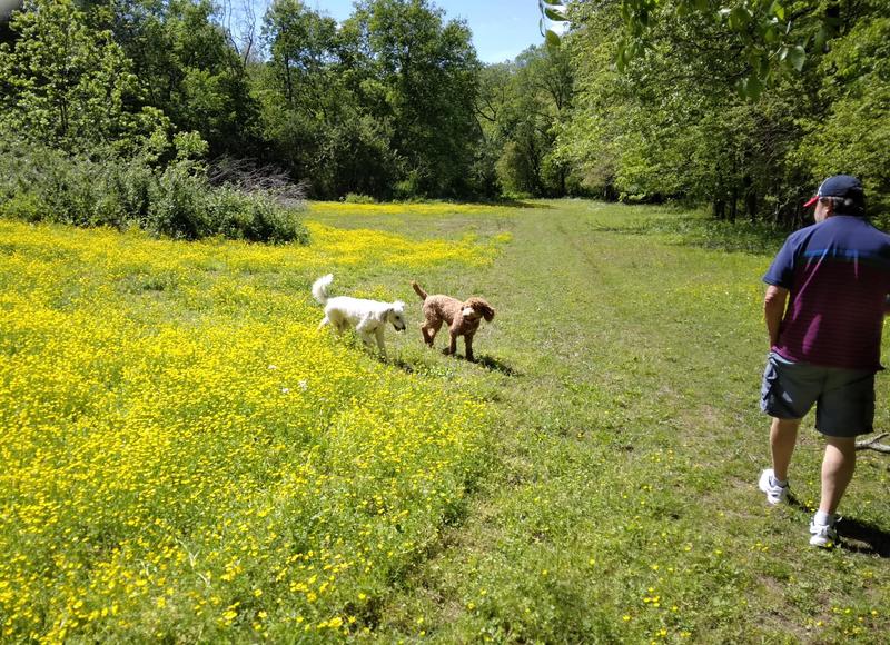 Enjoying a little hike