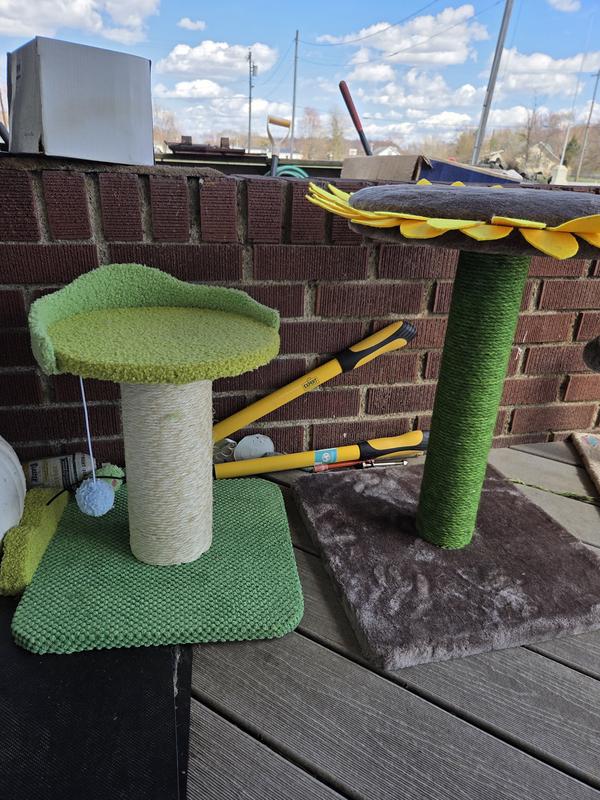 Caparison to a real cat tree