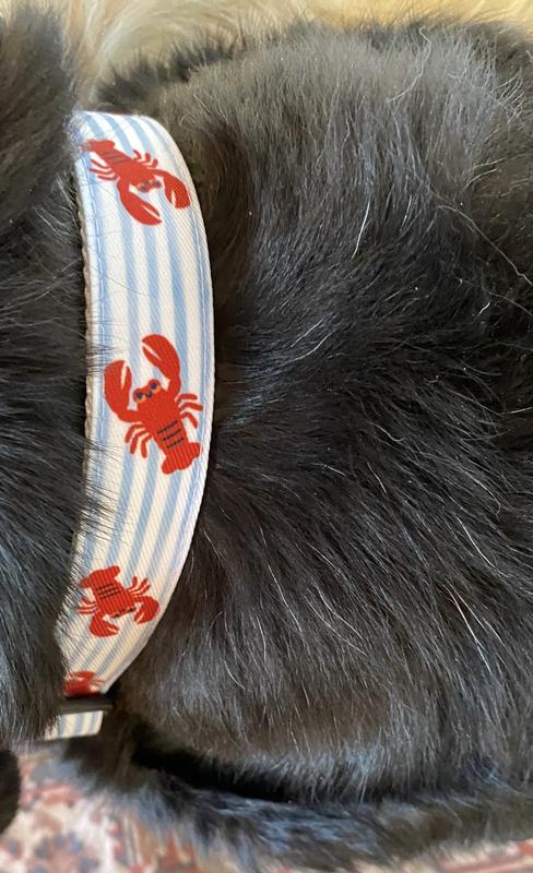 Good with all fur colors!