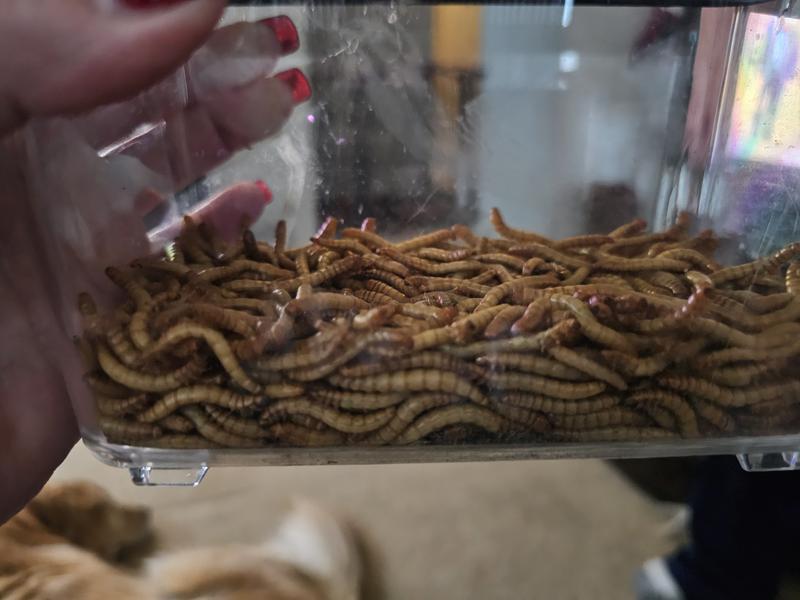 I'd say between 200 & 250 but NOT 500.