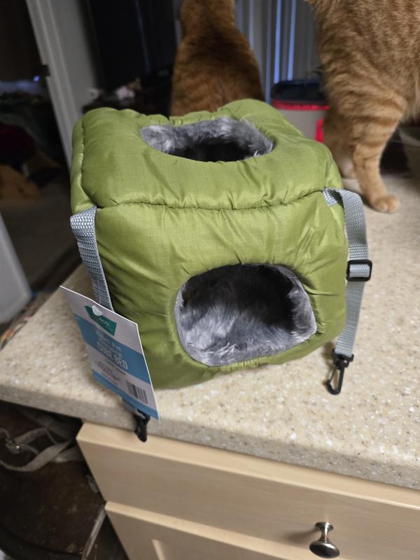 Slender the ferret checking out the comfy cube