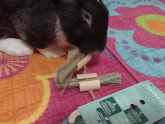 No time to take the tag off