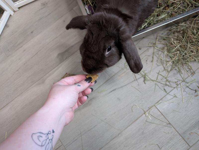 His first taste of the treat!
