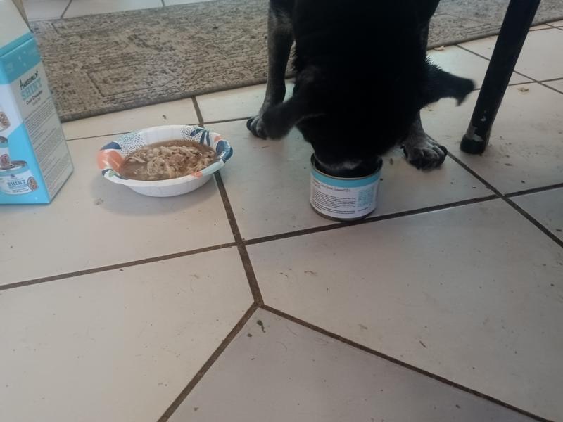 Cheech like it so much, she ate it out of the can