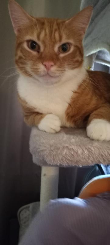 Previous bathtub user