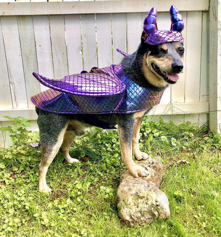 Large dog dragon clearance costume