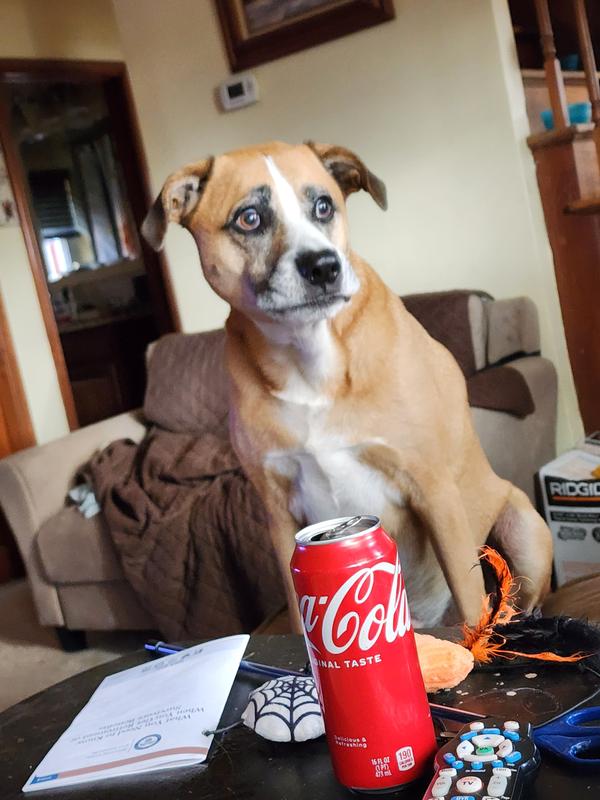 buster says please