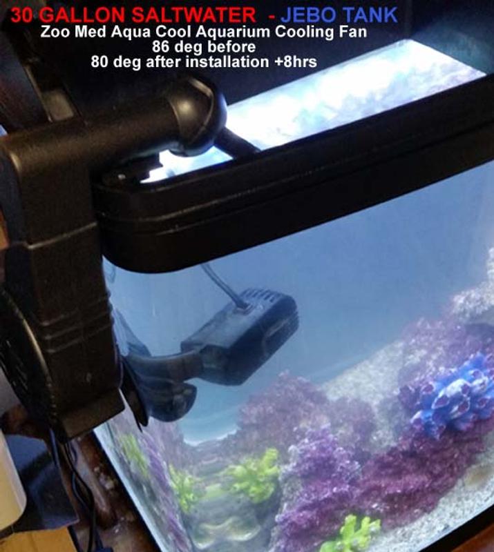 30 GALLON SALTWATER  - JEBO TANK