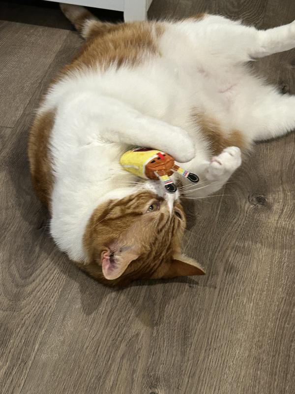 Lewis playing with SpongeBob