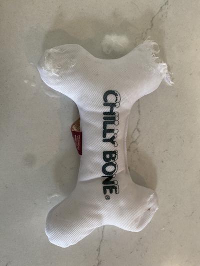 Multipet Chilly Bone Teething Dog Toy, 5.5 