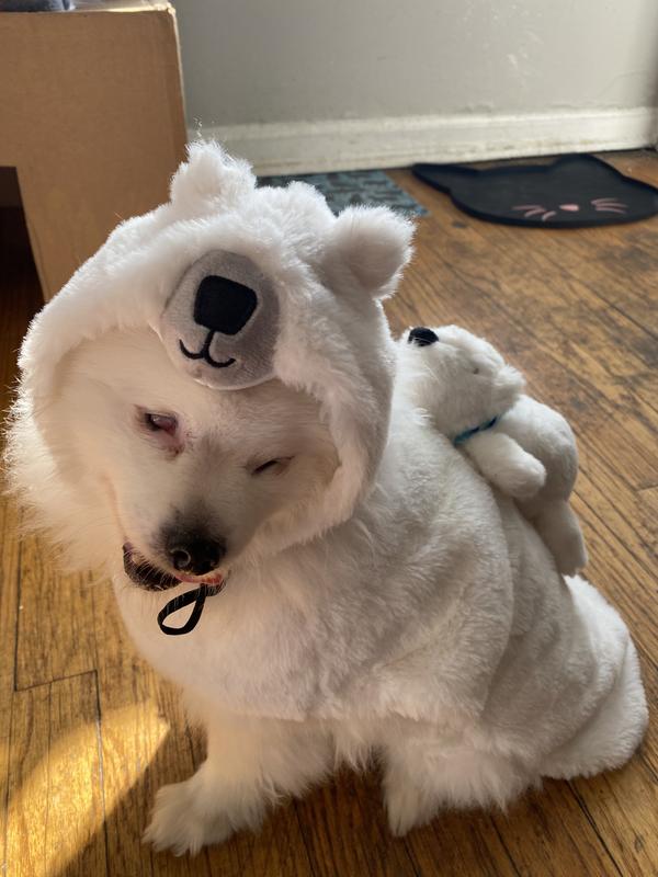 FRISCO Polar Bear RideOn Dog Costume, Small