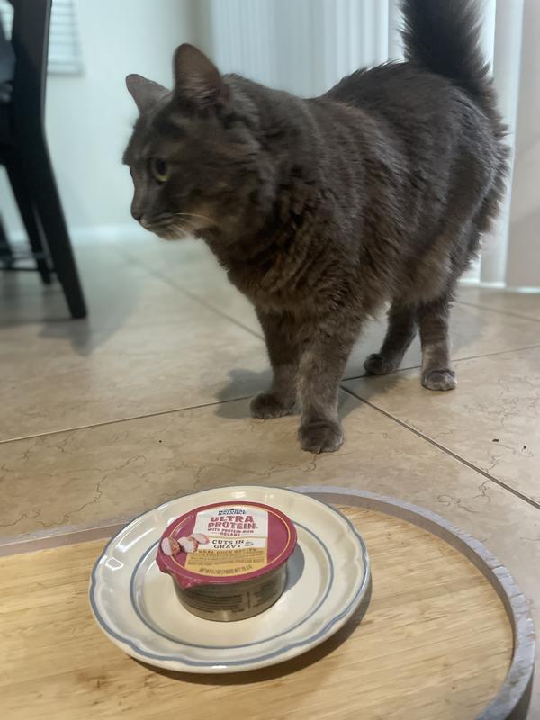 Something new! Let’s see..?!