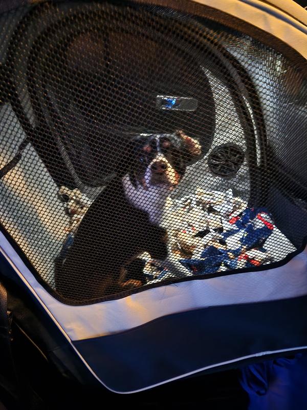 PETSAFE Happy Ride Collapsible Cat & Dog Travel Crate, Gray & Blue