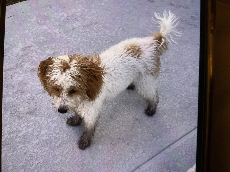 Ya gotta love this mess!