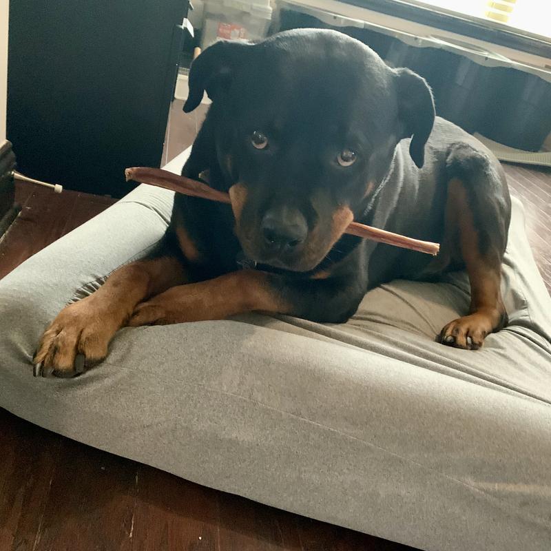 Not sure what do with it at first.