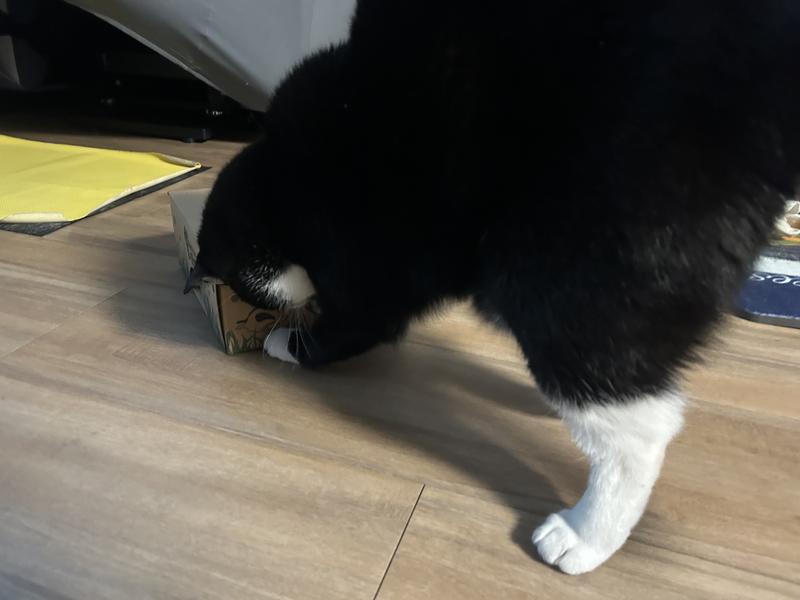 For my treats I'll do anything