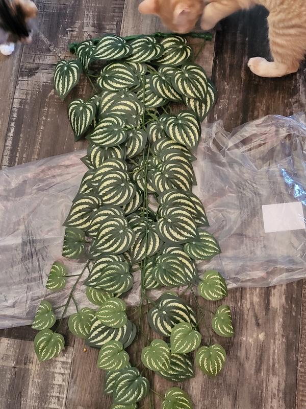 Frisco Artificial Watermelon Terrarium Vine