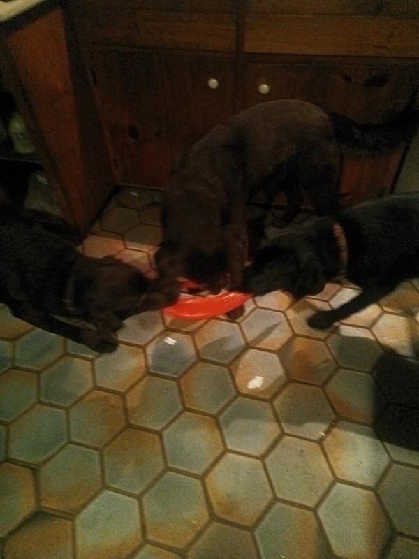 Burl, Gin, and Smiles Davis tearing it up!