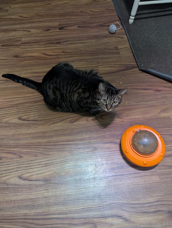 She got it instantly 😁