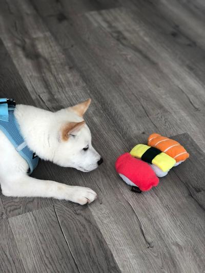 P.L.A.Y. Pet Lifestyle and You International Classic Food Sushi Dog Toy