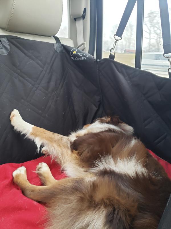 MEADOWLARK Dog & Cat Seat Cover, Black, Standard