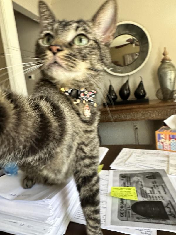 Mom take a picture!!
