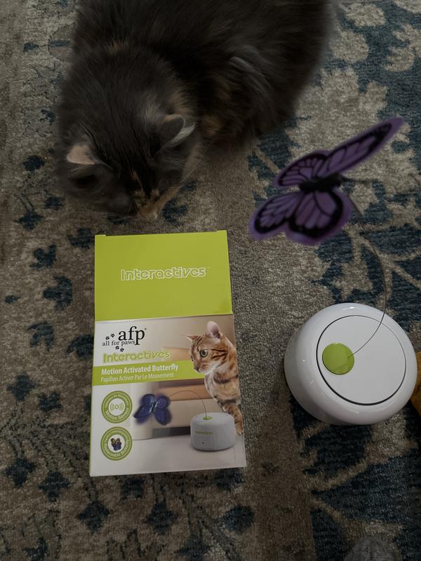 ALLFORPAWS Motion Activated Butterfly Interactive Cat Toy, White - Chewy.com