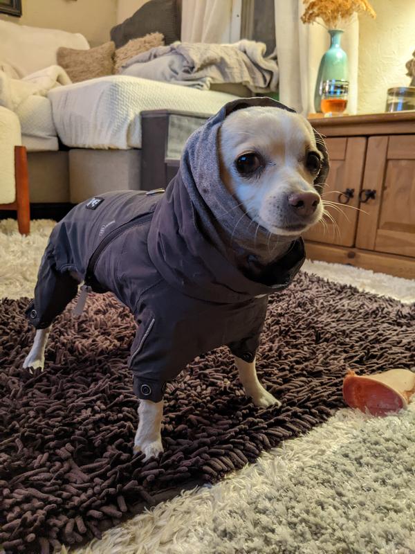 Hurtta extreme warmer outlet dog jacket