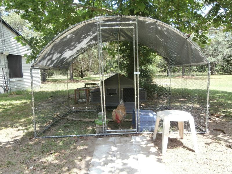 Front with chicken run