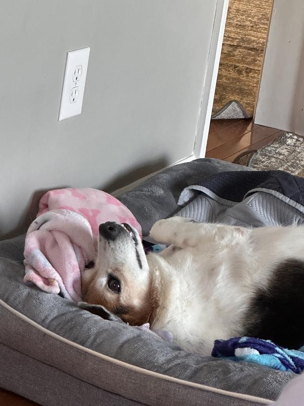 She likes to show the few teeth she does have left.  LOL