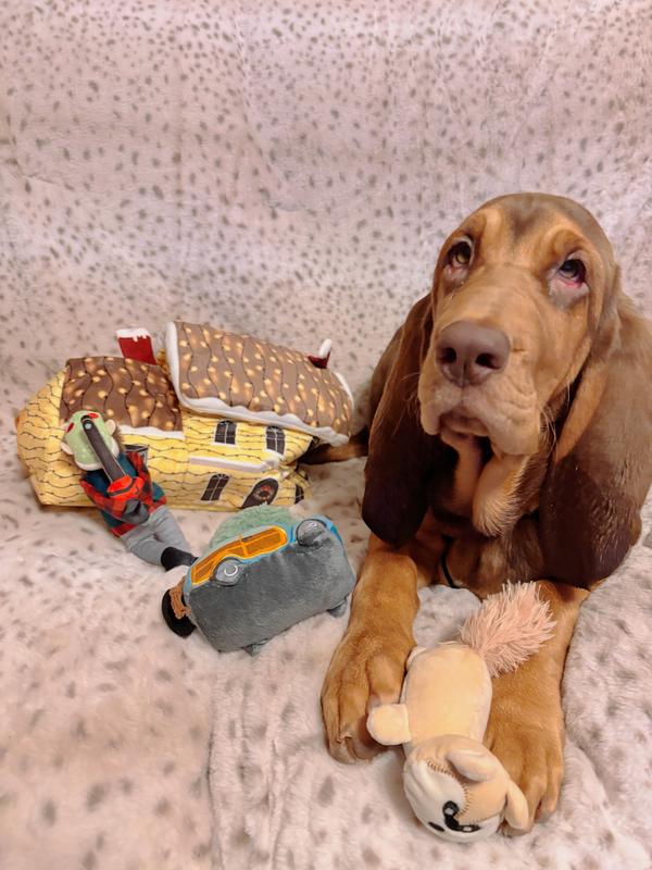 Maple Christmas Vacation