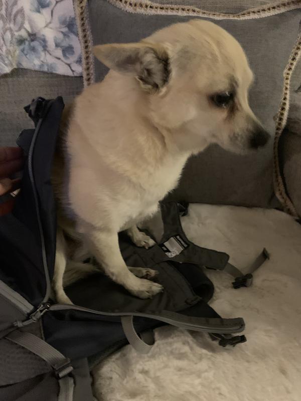 Me in there? Not today