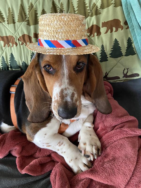 A sophisticated palate