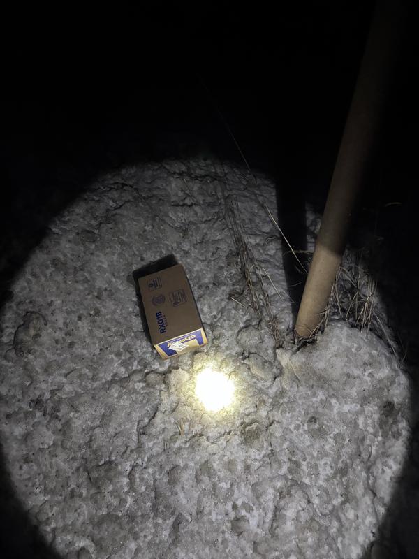 Left in the freezing cold!