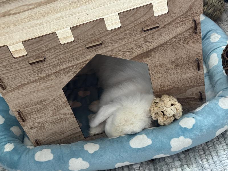 Sleeping after playing