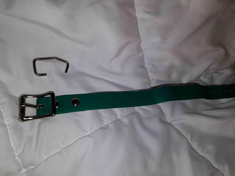 SPORTDOG Replacement Strap Dog Collar, Grey, 3/4in