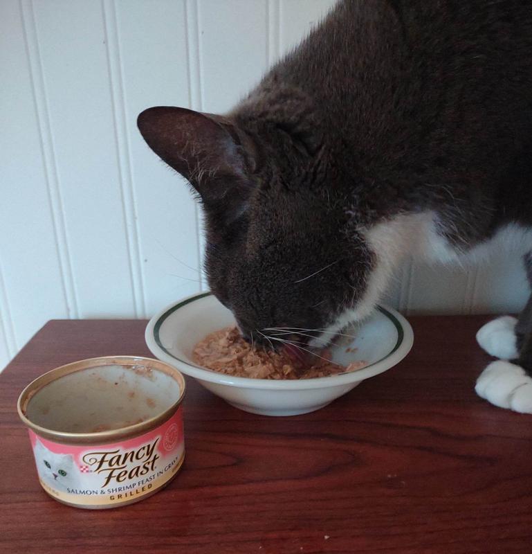 FANCY FEAST Grilled Salmon & Shrimp Feast in Gravy Canned Cat Food, 3 ...