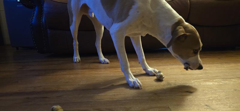 Walter right after receiving.