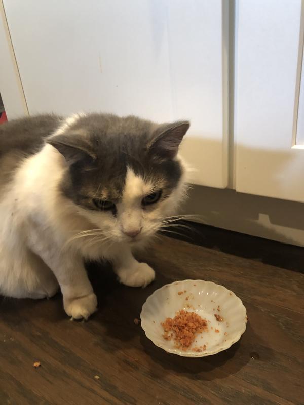 The face of don’t take my food