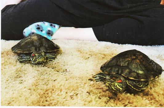 My "George" and "Gracie"