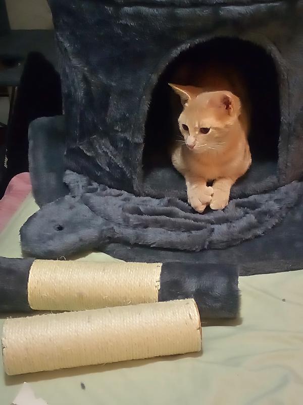 I asked for his help..